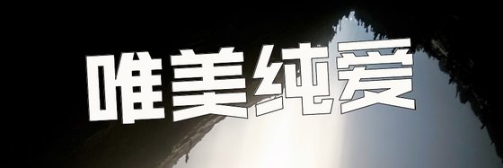 唯美純愛&十五部好看的高分小說